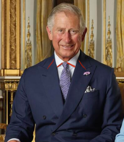 DWC Marshal Arts tweet media