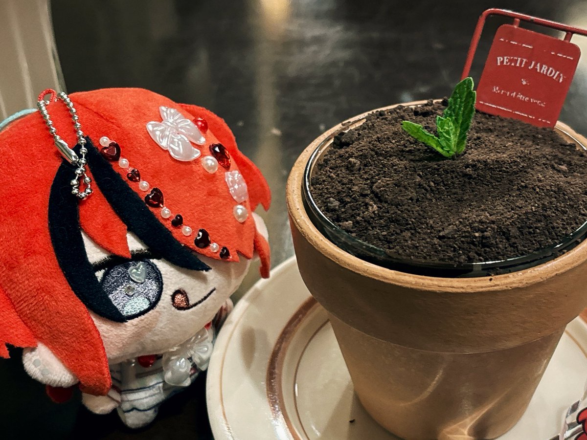 しょゆ。 tweet media