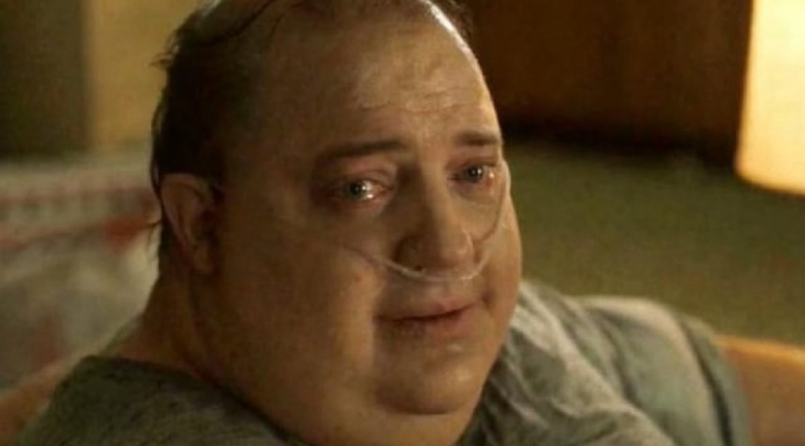 syd🐝 crashtos hq tweet media