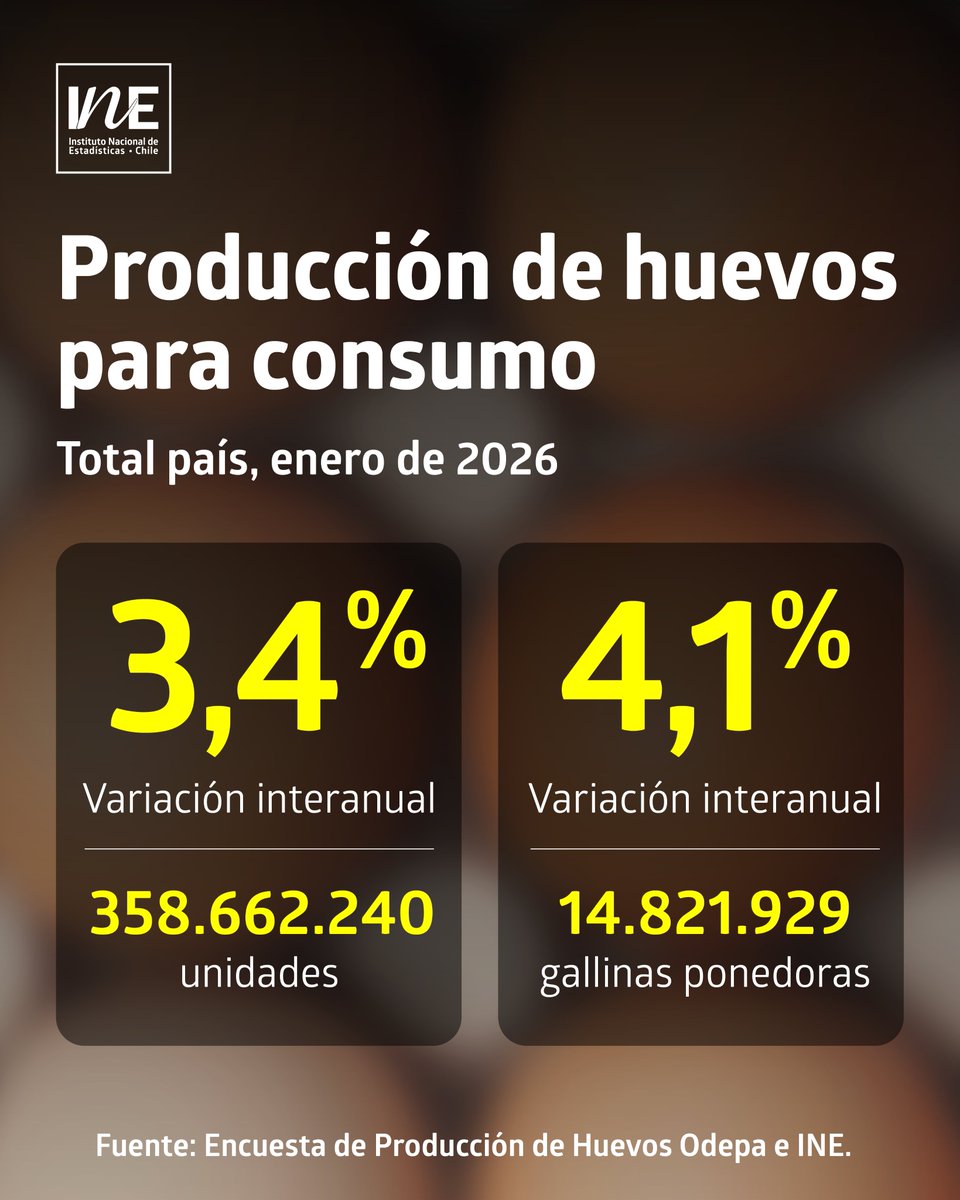 INE Chile tweet media