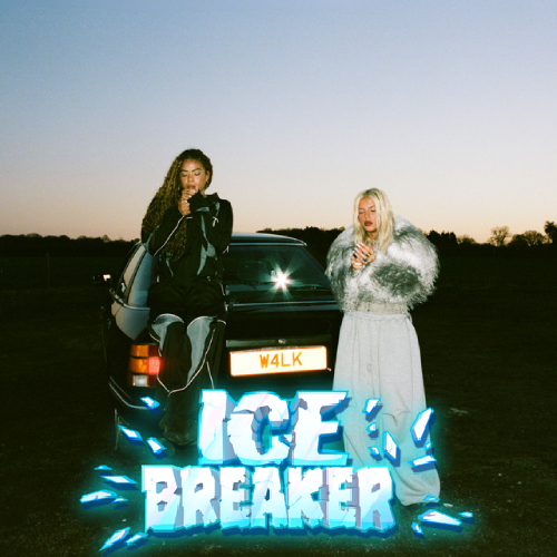 ICE RADIO tweet media