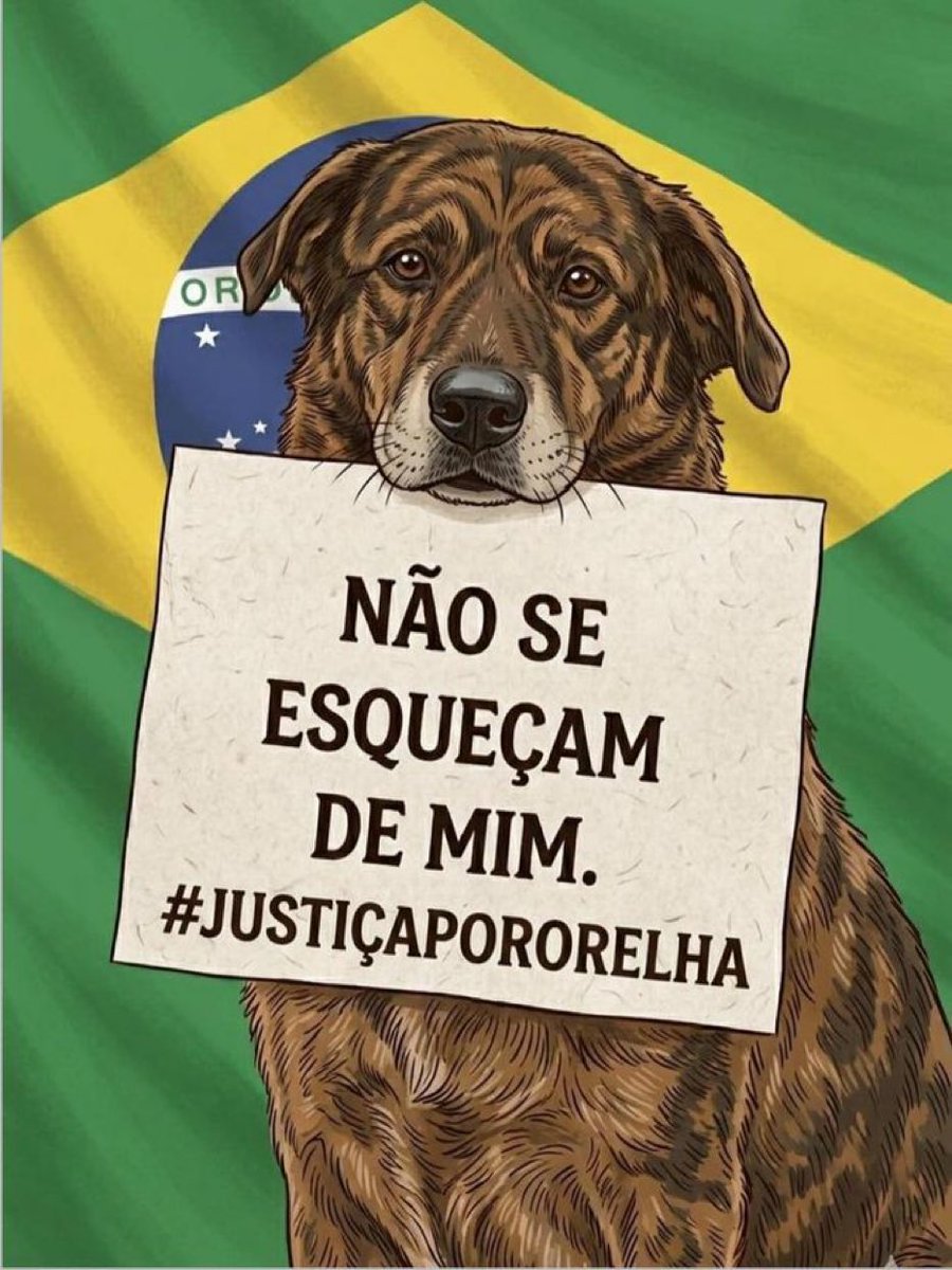 cohenlari's tweet photo. MPSC O BRASIL QUER JUSTIÇA 🇧🇷 https://t.co/LoBIXwb1Nn
