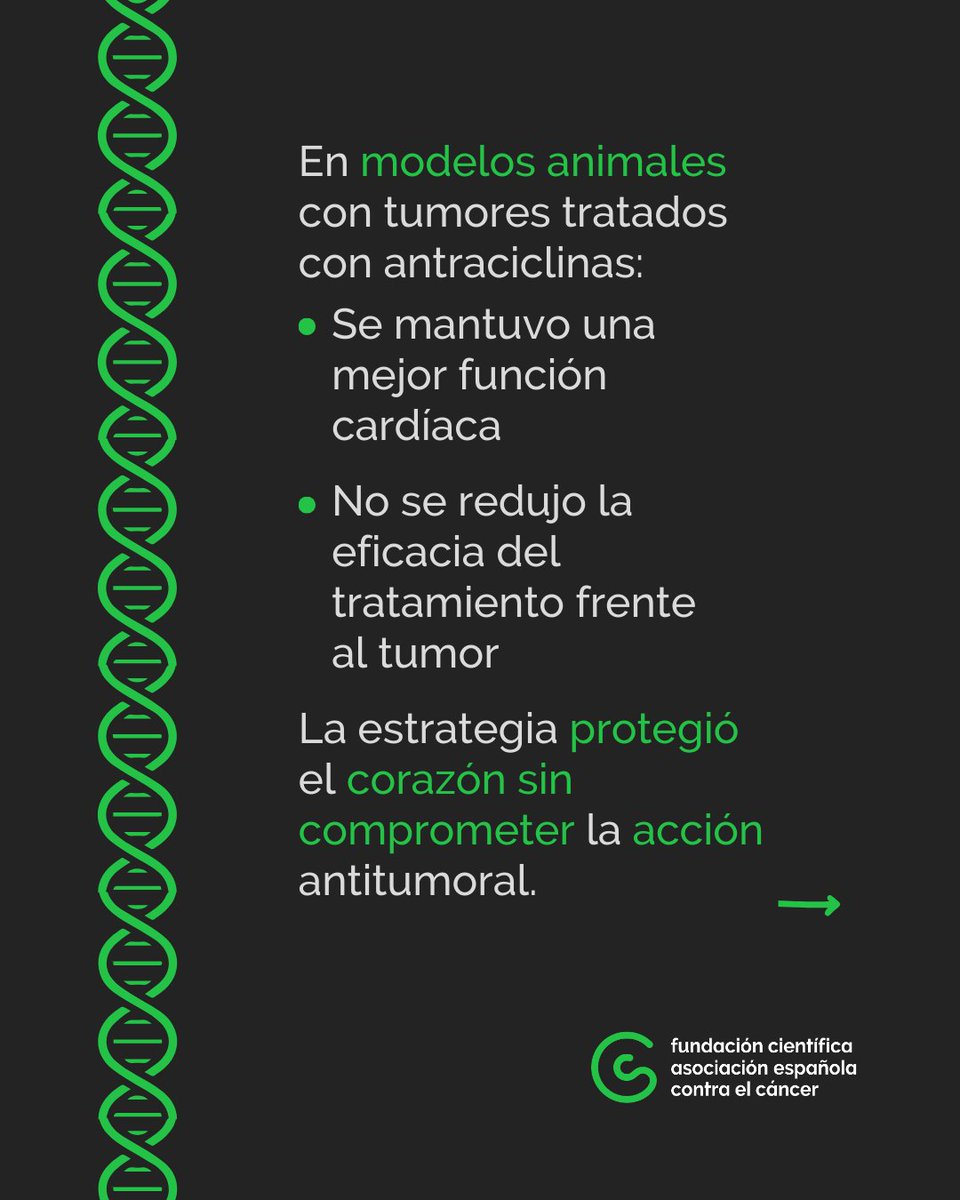 Contra el Cáncer Investigación tweet media