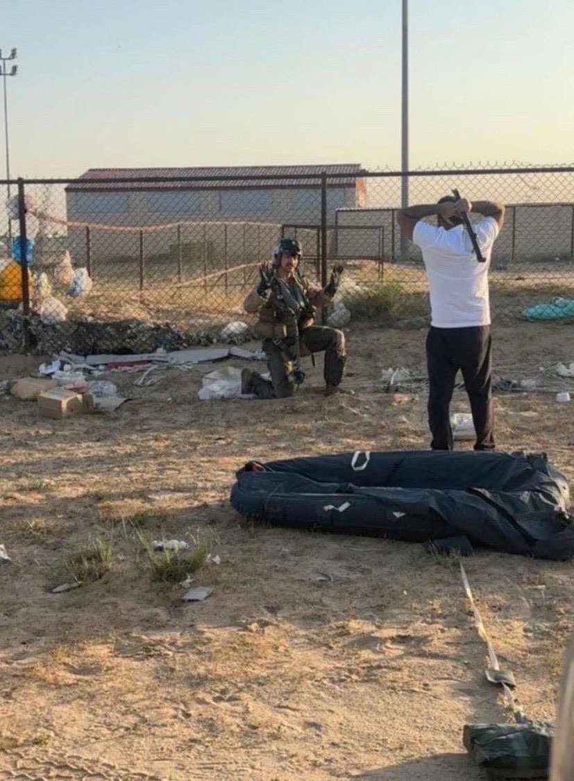 المخضرم 先生 tweet media