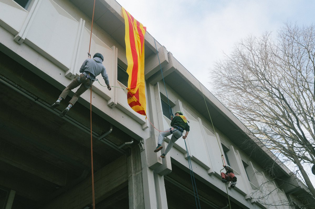 Correllengua universitari tweet media