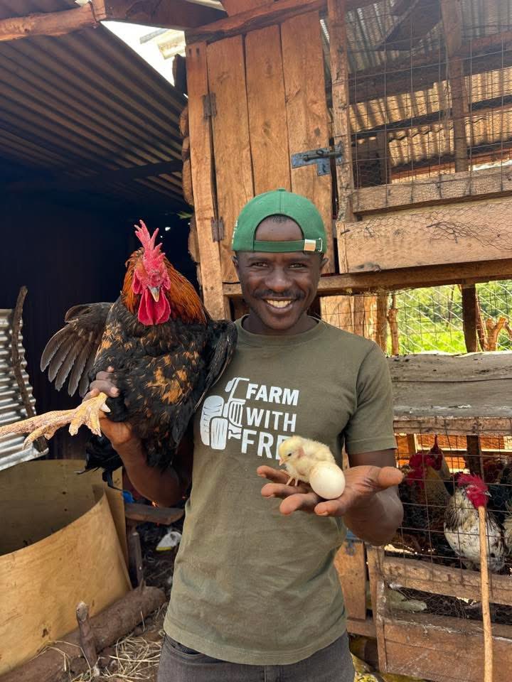 The big business on Kienyeji chicken

You do not keep Kienyeji chicken for fun. You keep them for income. These are Three clear income streams.

Meat
-Indigenous chicken meat sells higher than broilers in most Kenyan markets. In Nairobi and other towns, one mature bird ranges