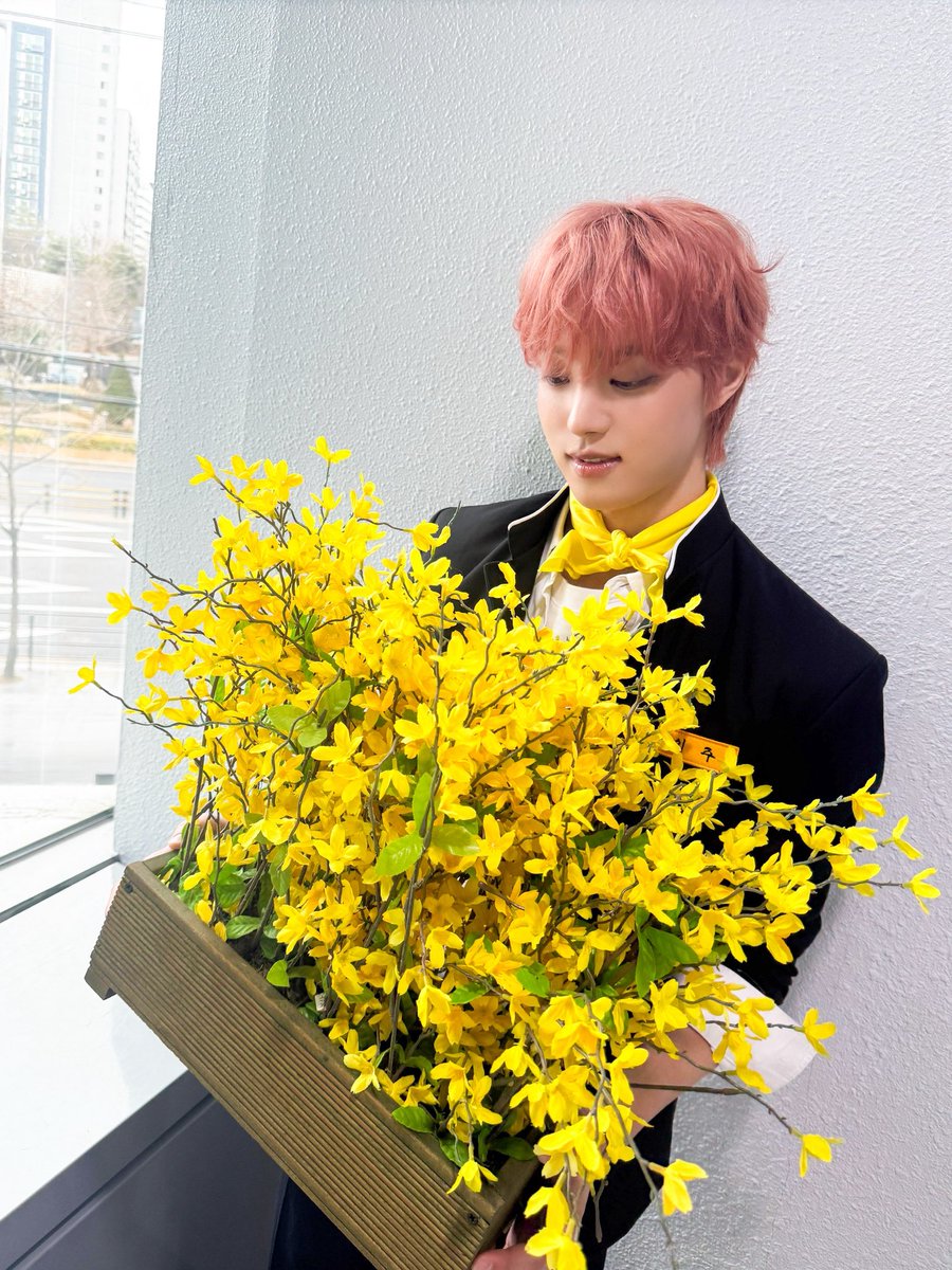 화분은 왜 들고 계신건가요