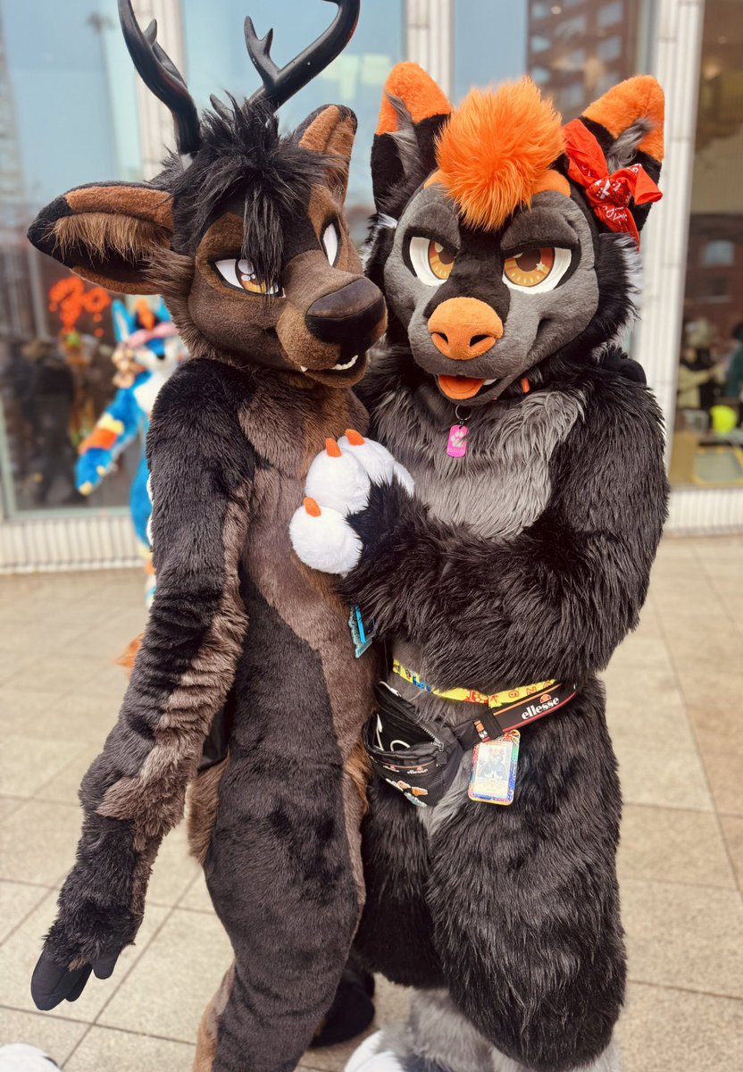 ᴏʀᴀɴɢᴇ ✨ tweet media