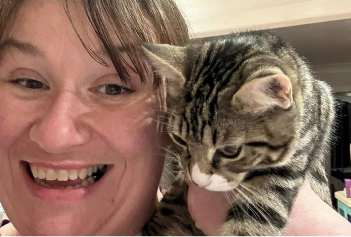 JustGiving tweet media