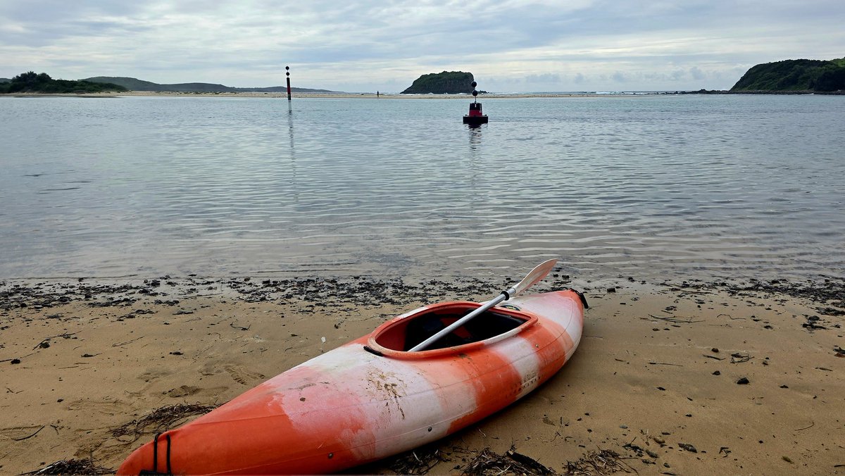 Andrew SMEE tweet media