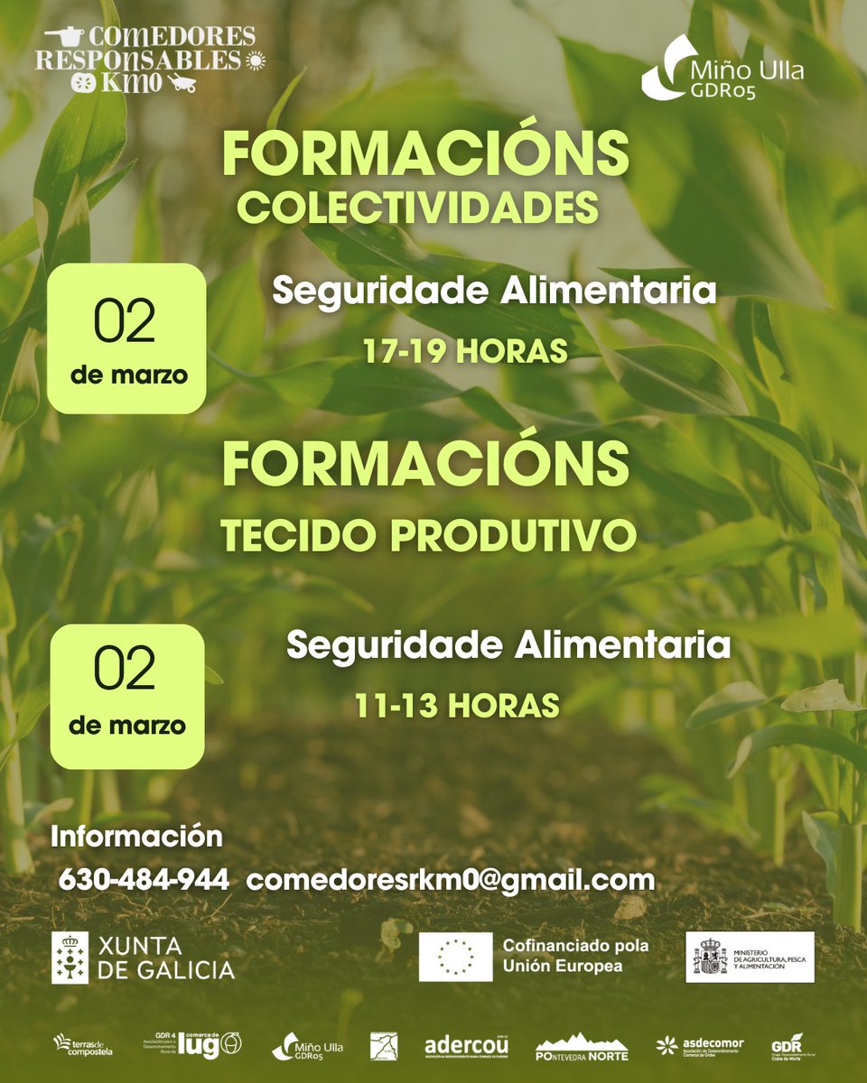 Chantada Concello tweet media