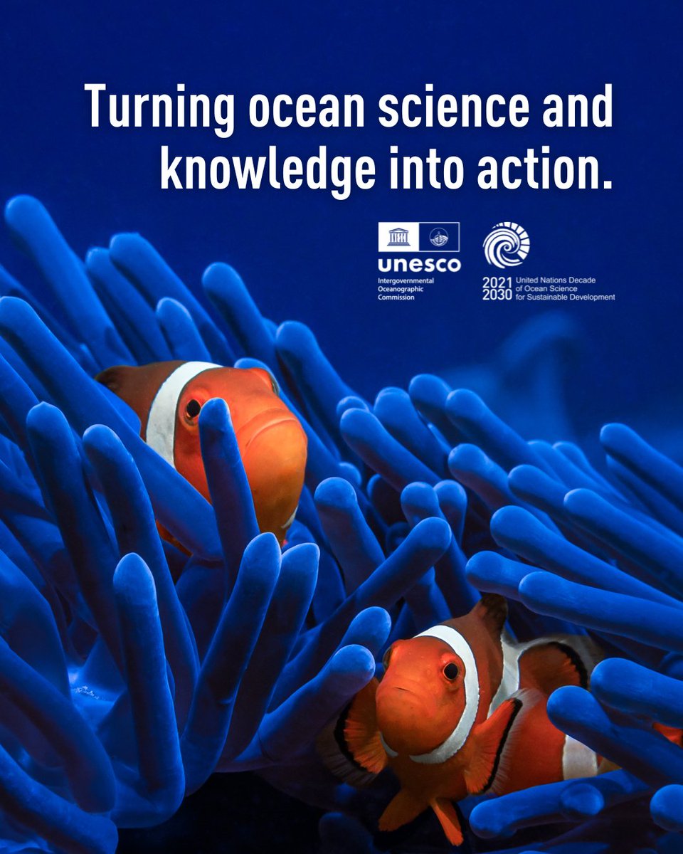 UN Ocean Decade tweet media