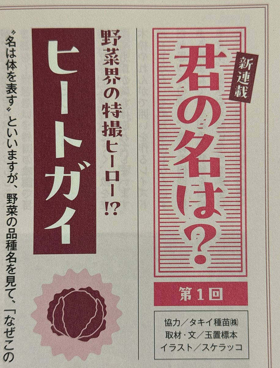 玉置標本 tweet media