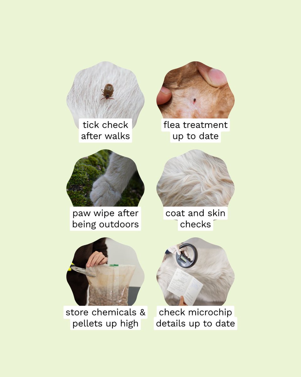 ukpetdrugs's tweet photo. Is your pet spring-ready?

Save this for your spring reset. Which one are you doing today?

#ukpetdrugs #petcareuk #springpets #dogownersuk #catownersuk https://t.co/c0dpqSZNaj