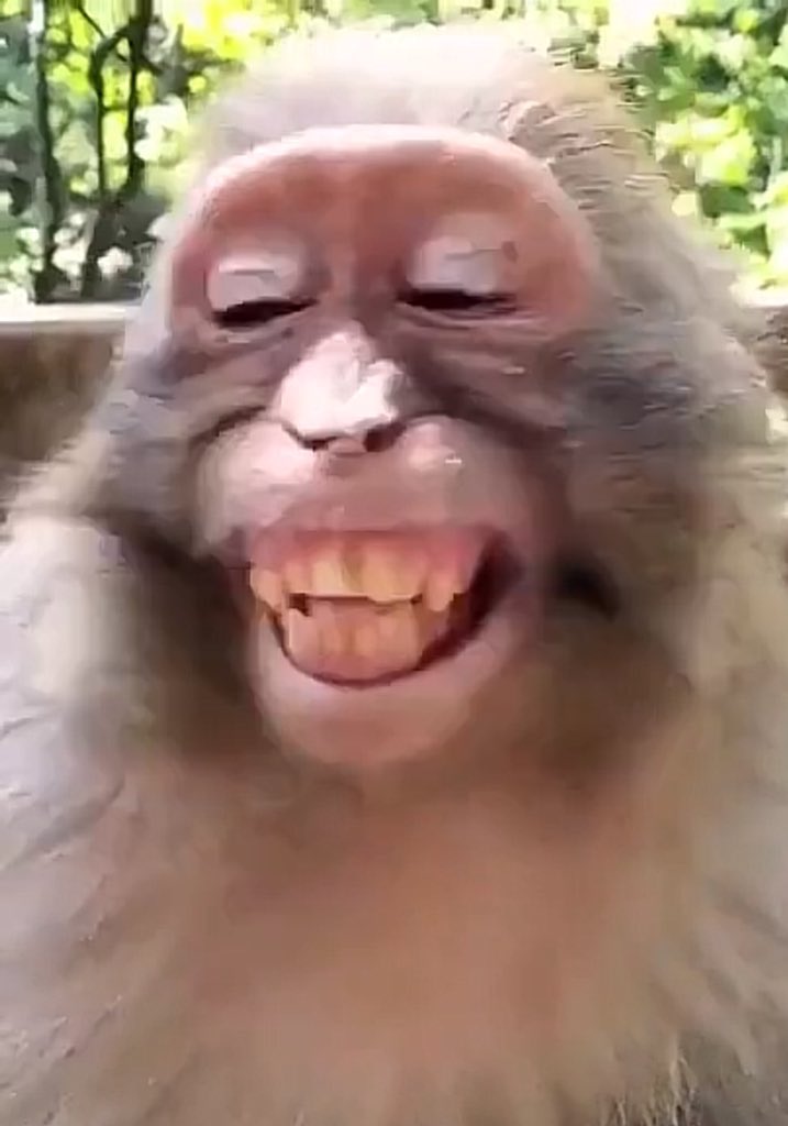 Stack Now Ball Later tweet media