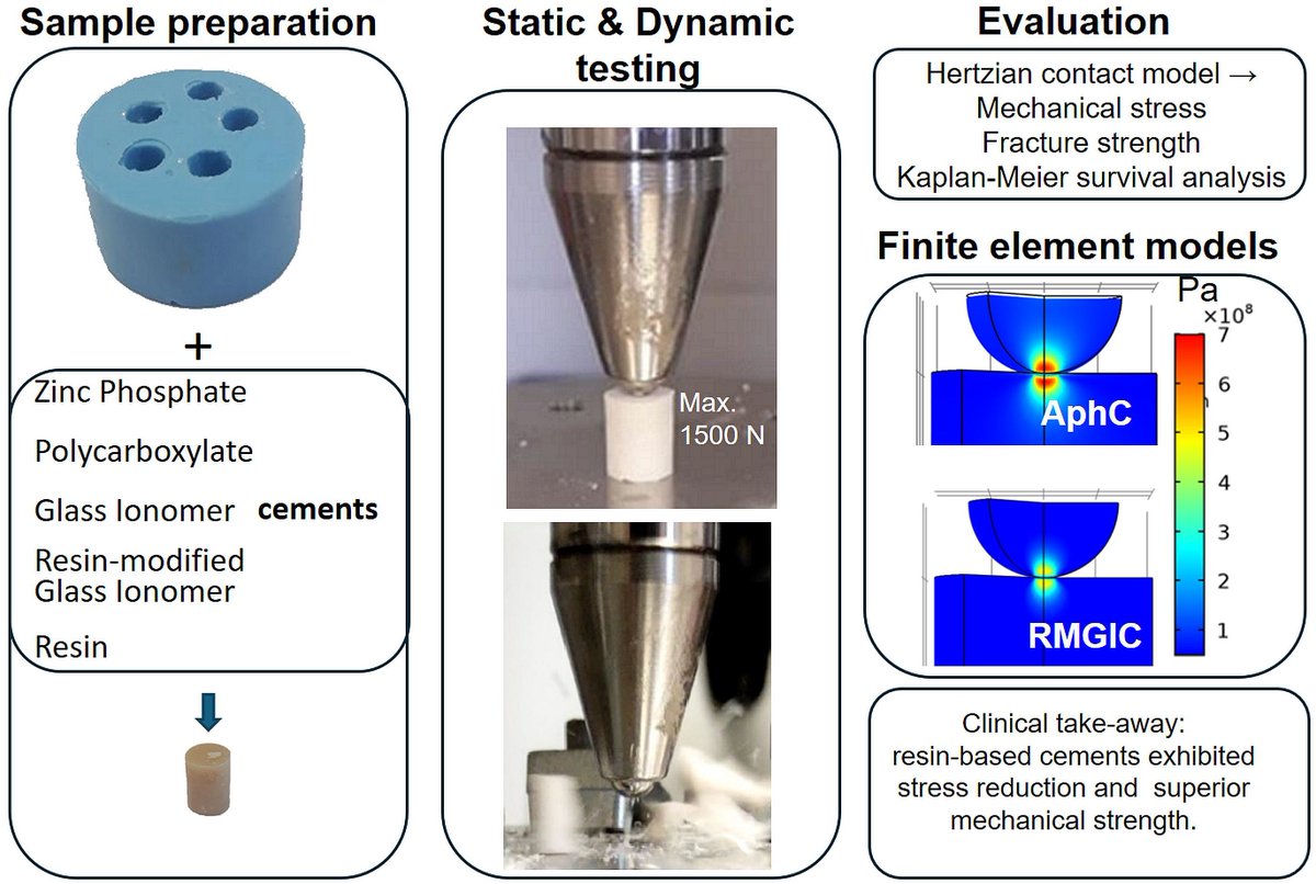Dentistry Journal MDPI tweet media