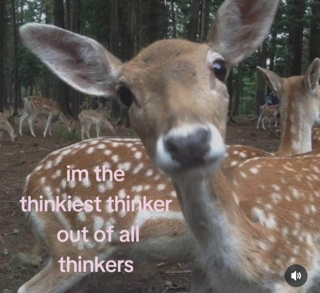 a broken soul tweet media