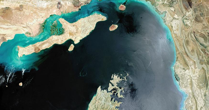 أرقام العالمية tweet media