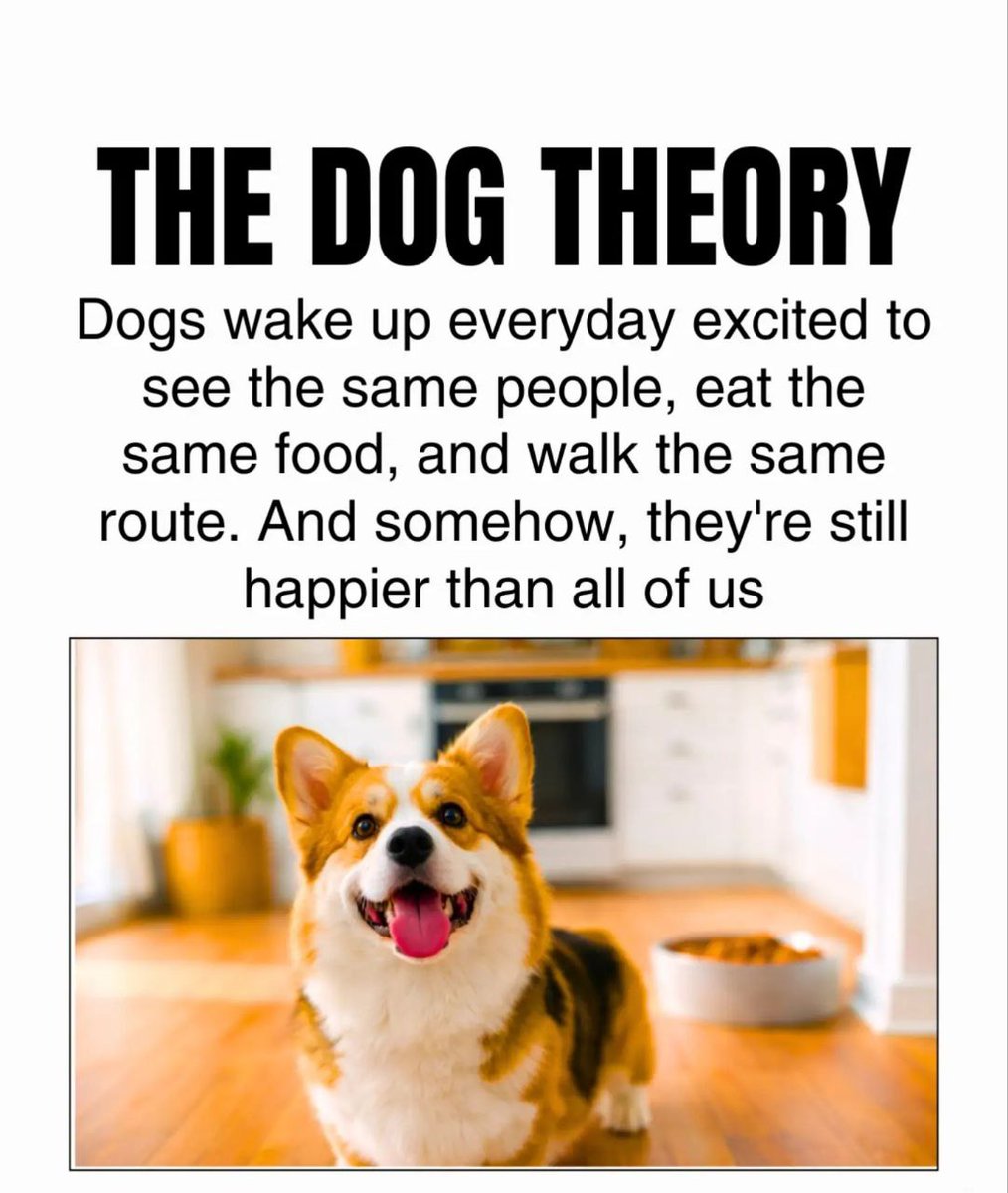 InspiroQuest tweet media