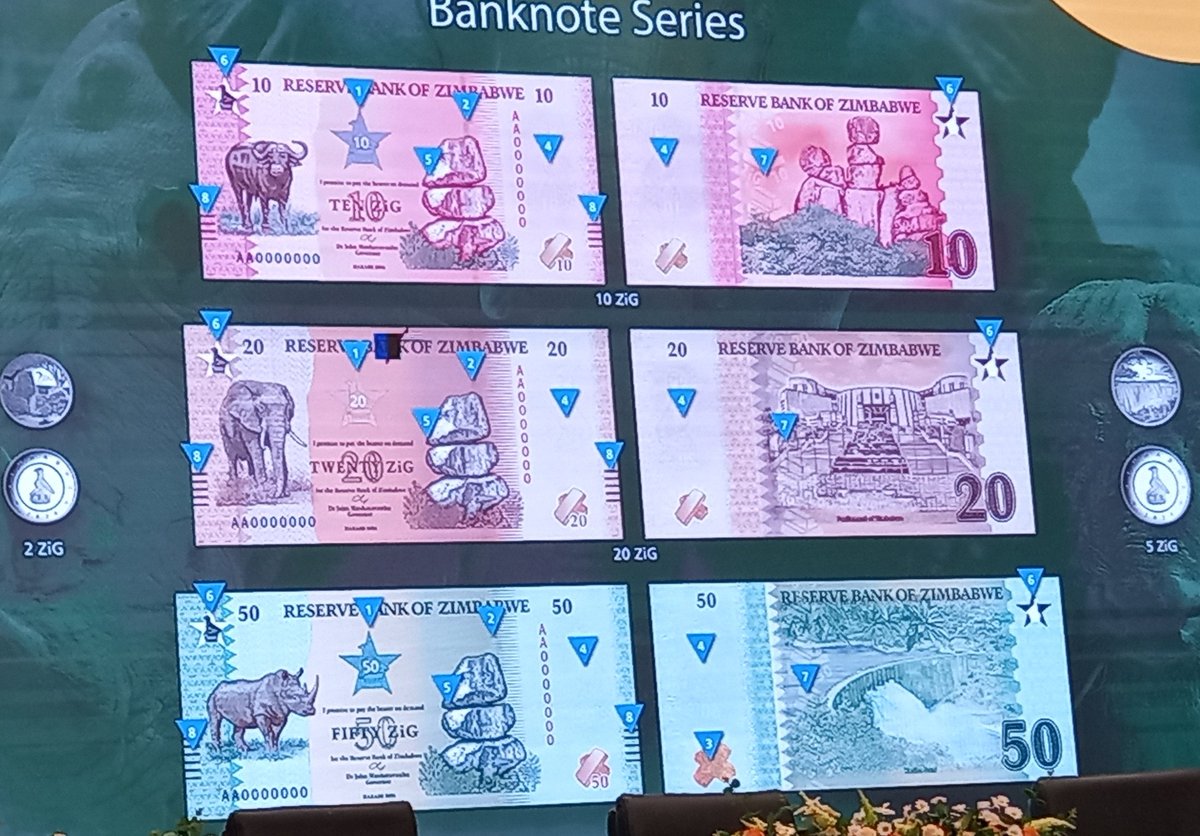 Tourism Focus Zimbabwe tweet media