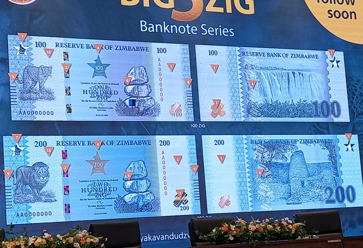 Tourism Focus Zimbabwe tweet media