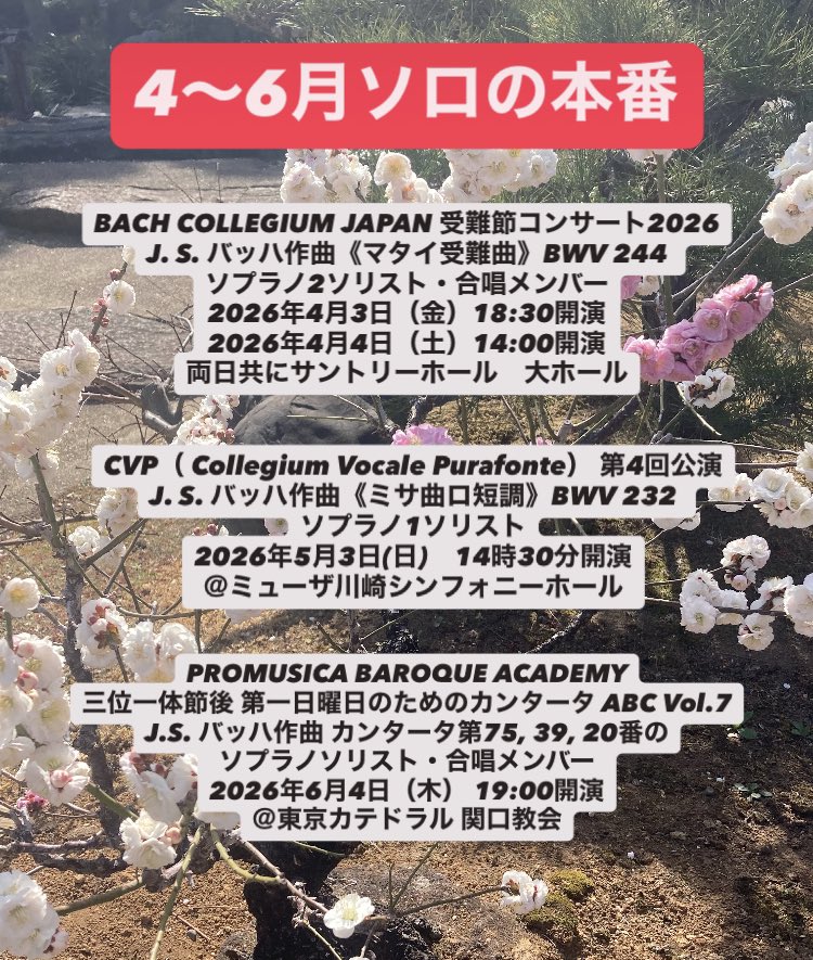 Aiko Sakurai 櫻井愛子/Soprano tweet media