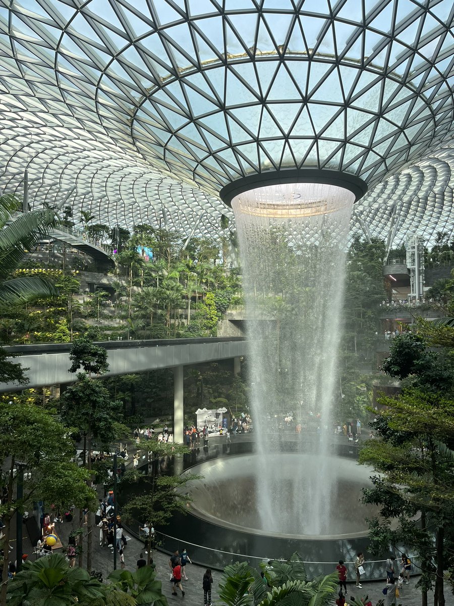 entophile's tweet photo. 😩 trip to Singapore and beyond cancelled, the day before I was supposed to leave. Reminiscing with some photos from three 3 years ago. Hopefully it gets rescheduled. https://t.co/B4pyJjl4AY