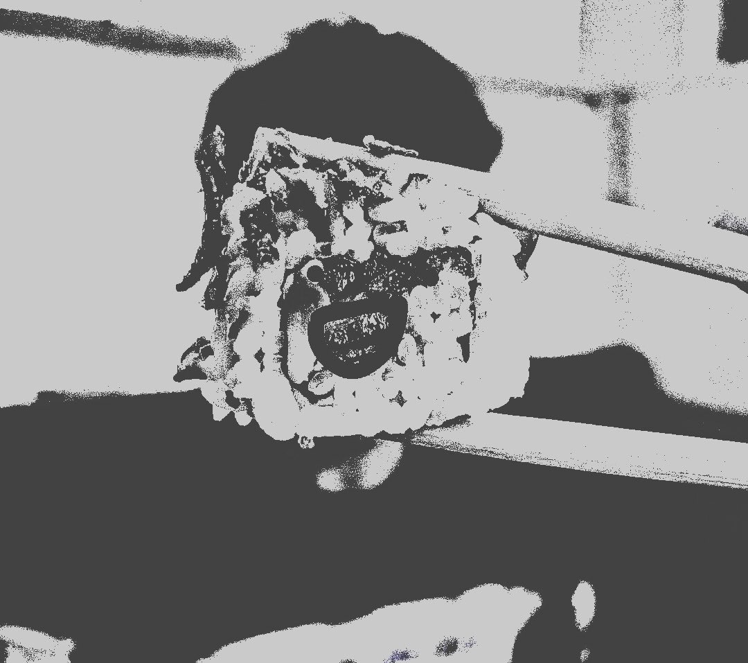 ⠀

estetik bir şey çektiğimi düşünüp sevinmişti aslında.

⠀