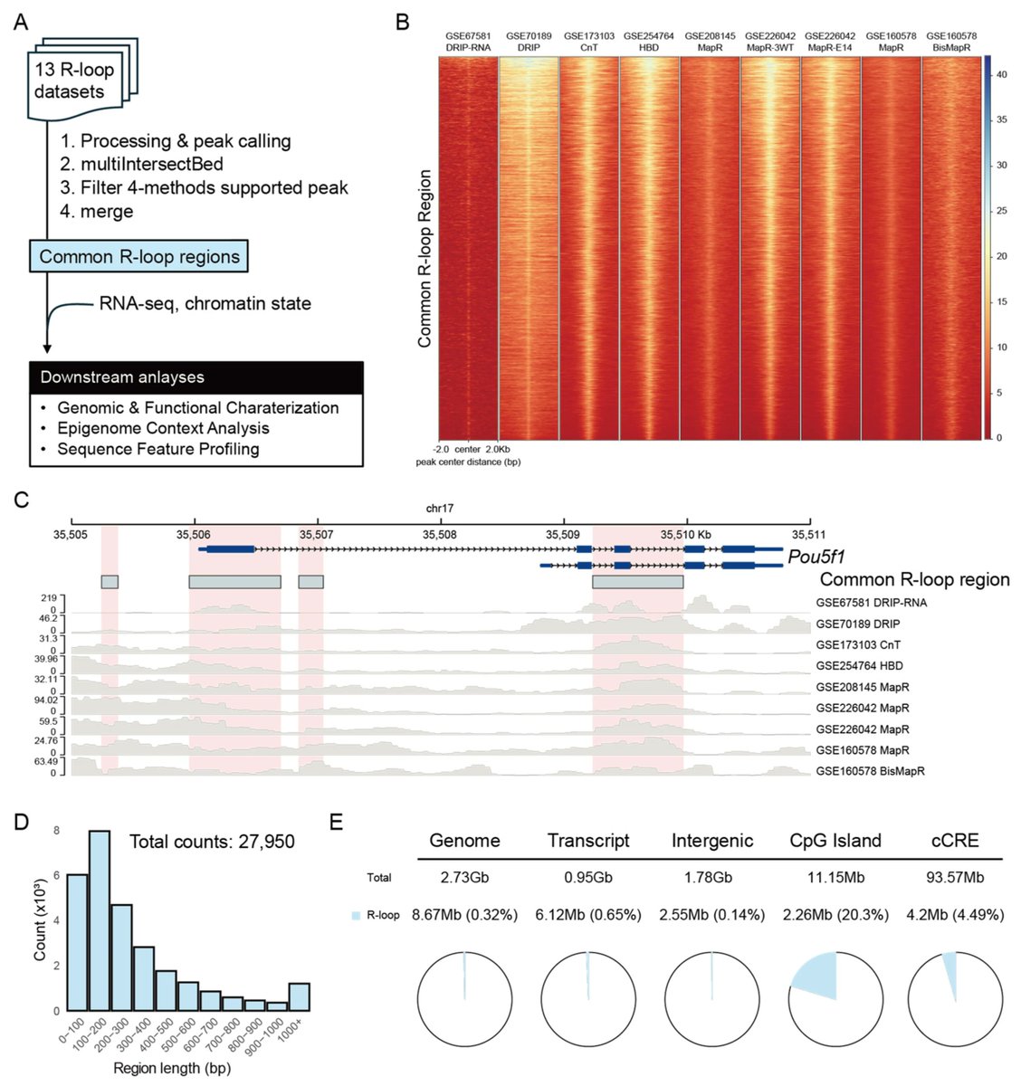 Epigenomes MDPI tweet media