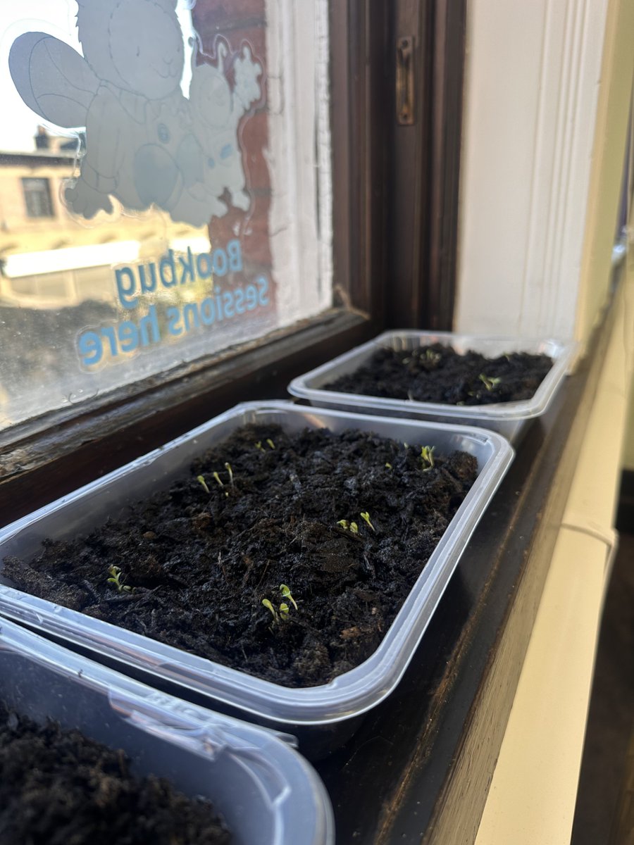 South Ayrshire Libraries tweet media