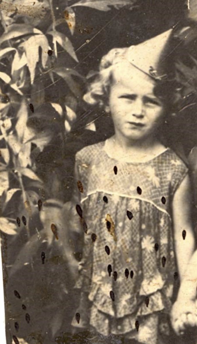 2 March 1933 | A Romanian Jewish girl, Alis Diner, was born in Satu Mare. 

In 1944 she was deported to #Auschwitz and murdered in a gas chamber.
---

▶ A short video showing the ruins of gas chamber and crematorium III: youtube.com/shorts/ipQmBPA…
