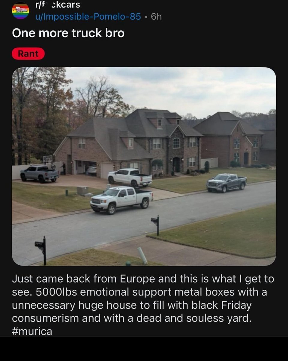 Braindead Bird App tweet media