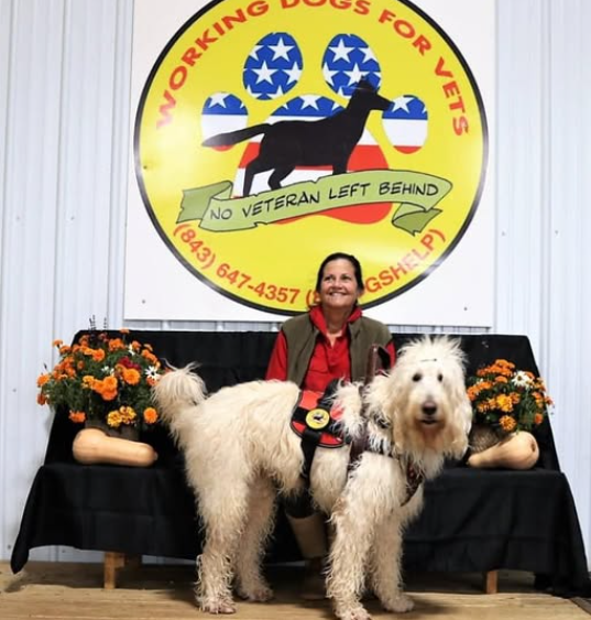 WorkingDogsForVets tweet media