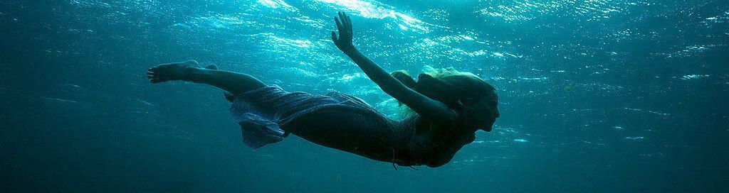 Stephen Hill tweet media