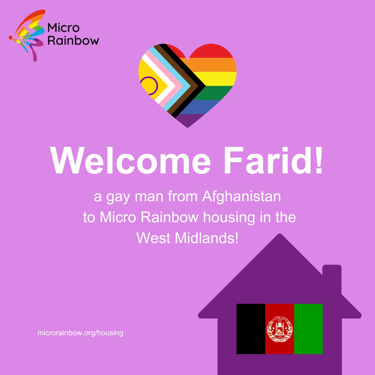 Micro Rainbow tweet media