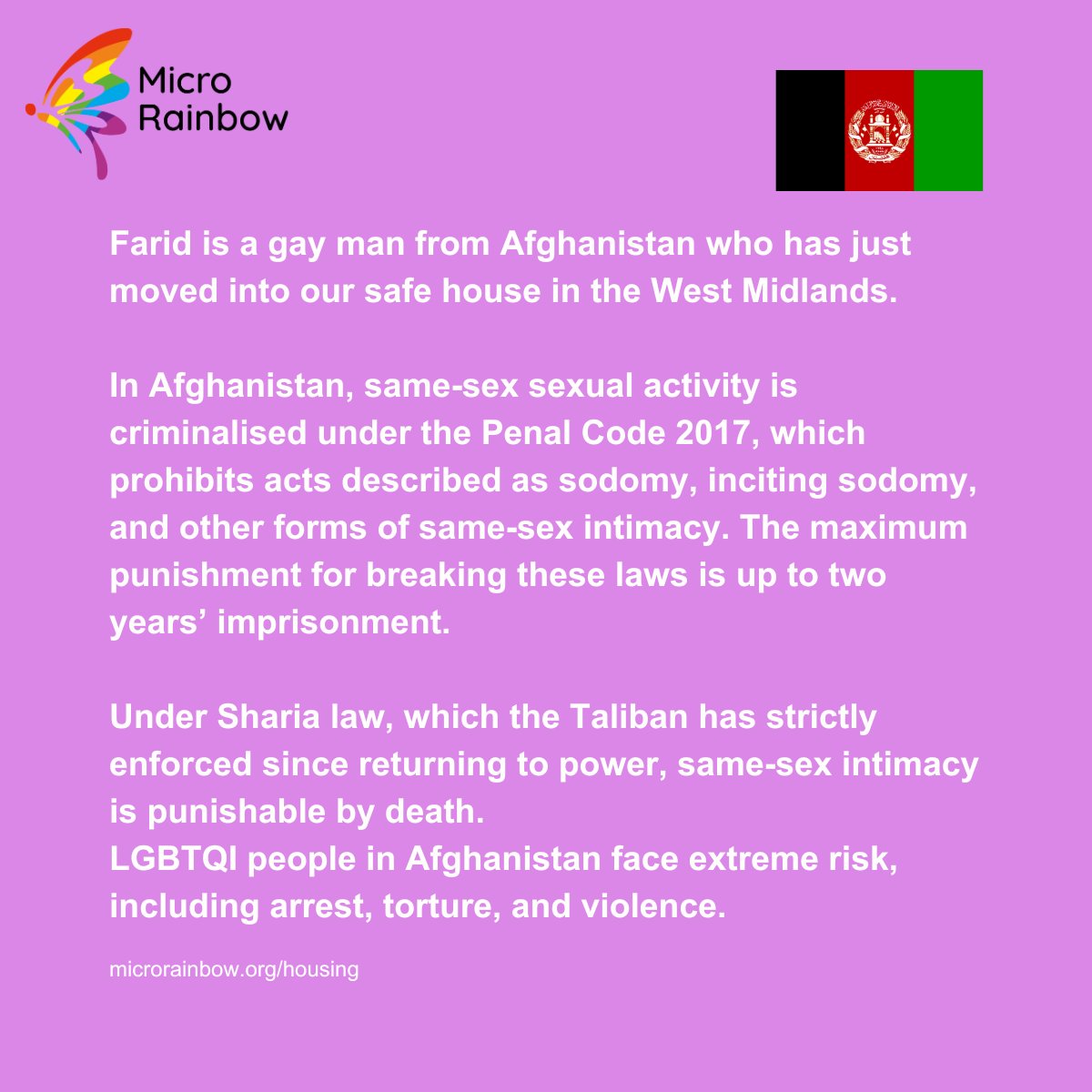 Micro Rainbow tweet media