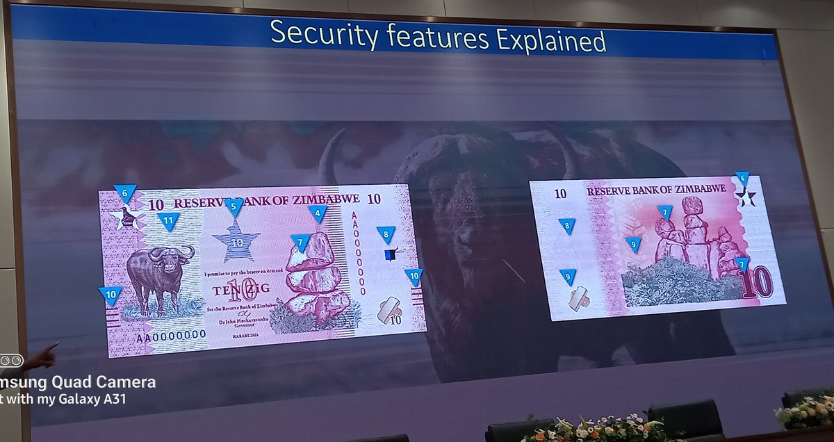 Tourism Focus Zimbabwe tweet media