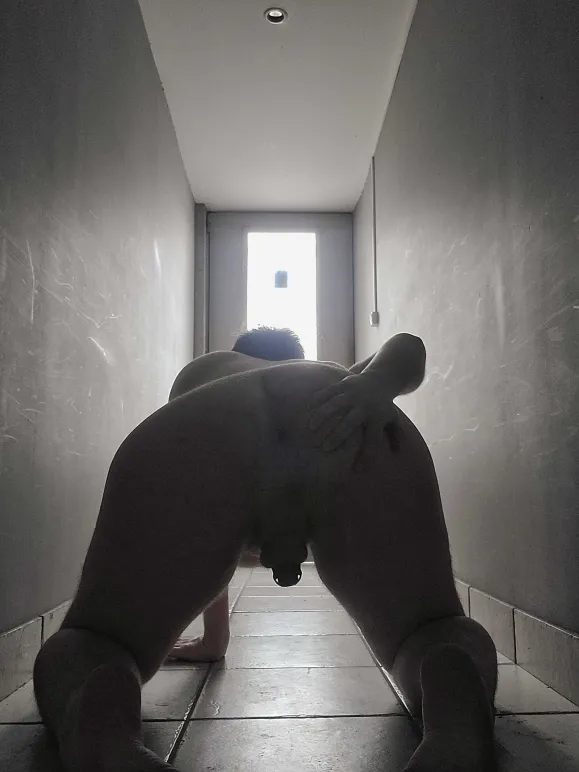 anthony63bm's tweet photo. @Pup_Shadow63  prêt à accueillir ma queue et ses doses de sperme quotidiennes 😈🐶 https://t.co/l5o7jgKU8Y