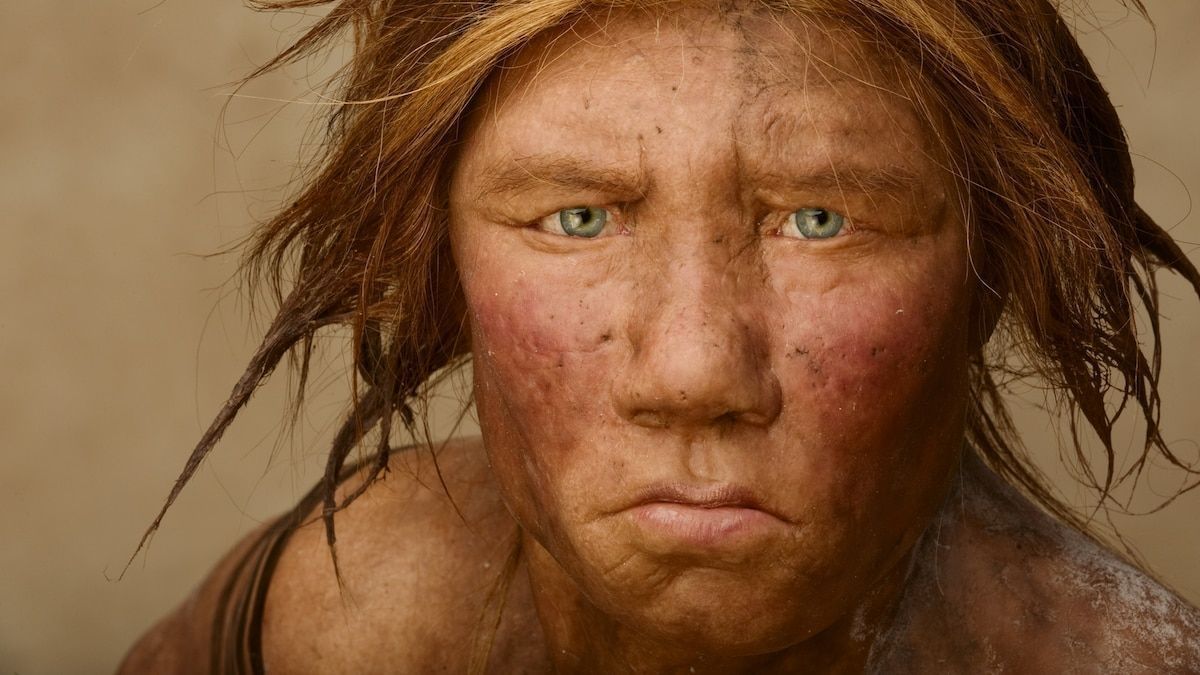 Neanderthals were our closest known relatives and walked the Earth between at least 400,000 and 40,000 years ago. But since their fossilized bones were discovered more than 160 years ago, there are still many questions about what they were like.

The bones were uncovered by