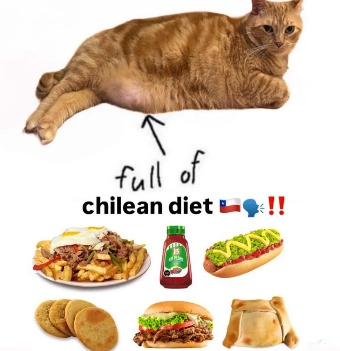 Oonk 🇨🇱 tweet media