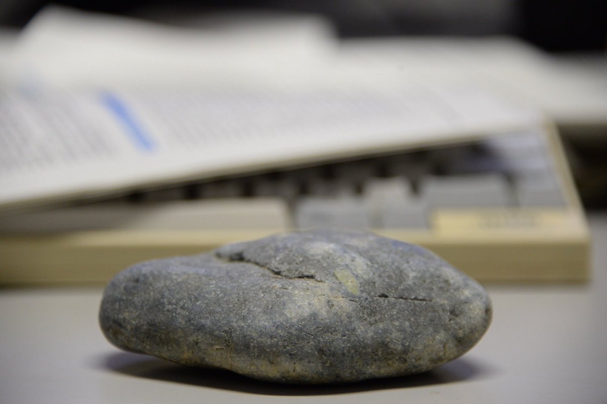 今日の石 2026年03月02日 屋内 #StonesInTheWild