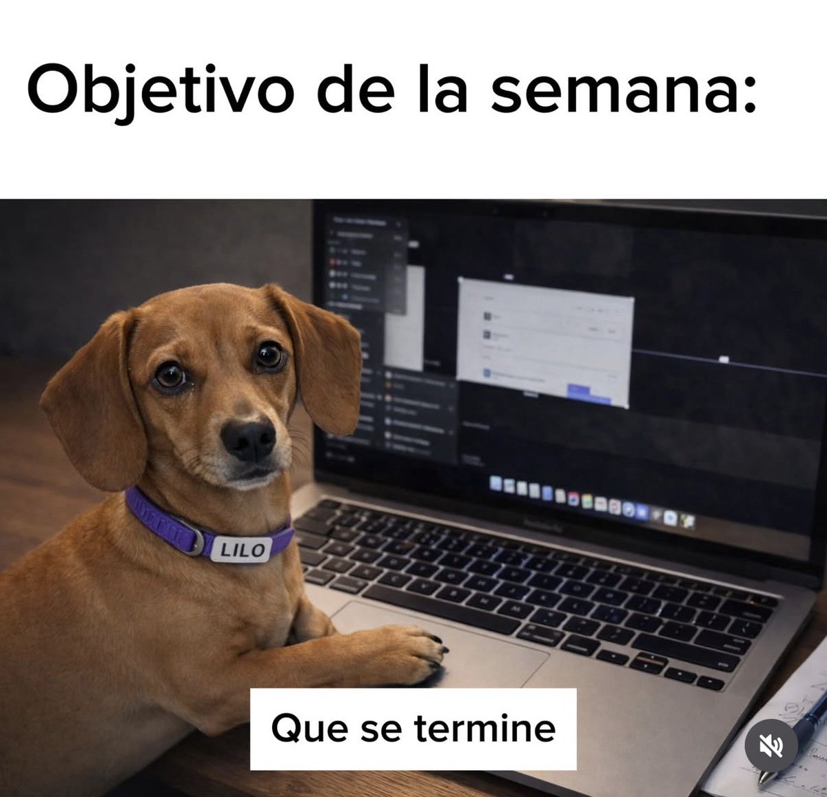 y apenas es lunes 🫠