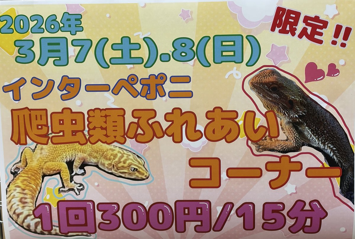 カメレもんぐっず99 tweet media