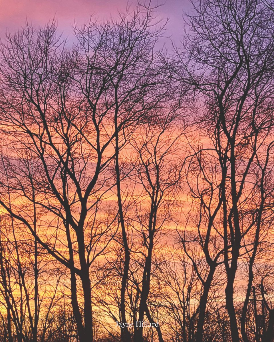 MMM Magazine tweet media