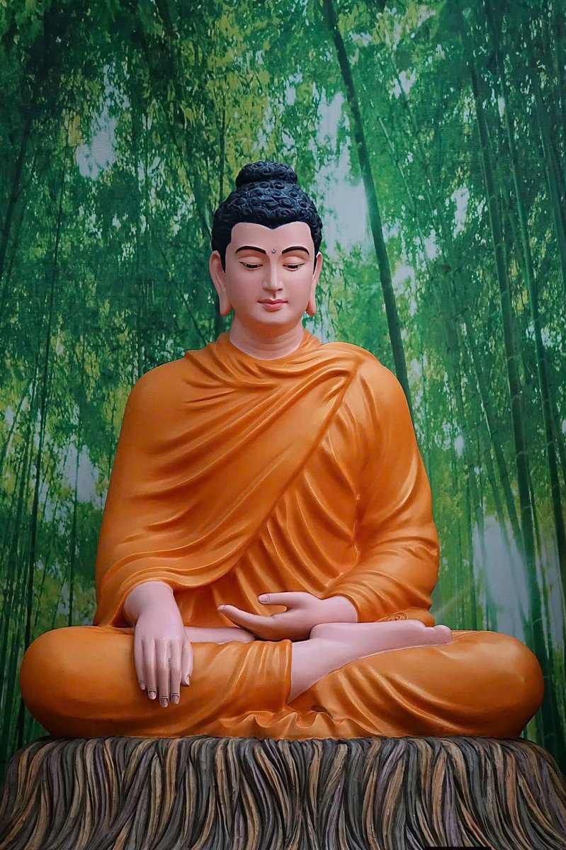 BangVdHospital's tweet photo. "I wish that all humankind would possess the wisdom and compassion of the Buddha".

Namo Amitabha Buddha
Nam Mô A Di Đà Phật https://t.co/4nAD7Me6GM
