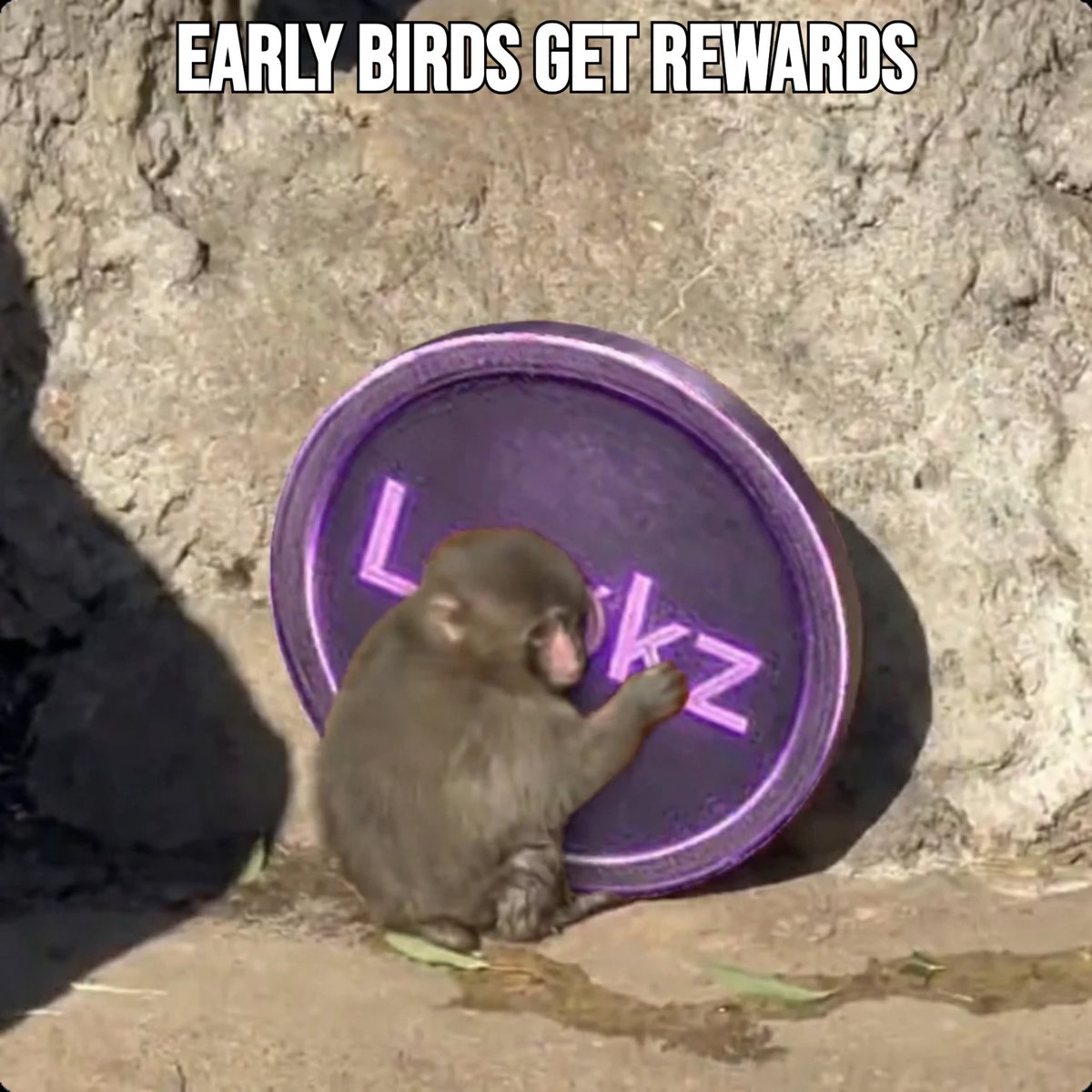 It’s Monday and while everyone’s dreading the week I’m already setting up my earnings

Joined <a href="/3look_io/">3look</a> post on X, get rewarded every 24h based on your performance not your follower count
pool is limited and this is their first ever campaign. early is everything

Jump in here →