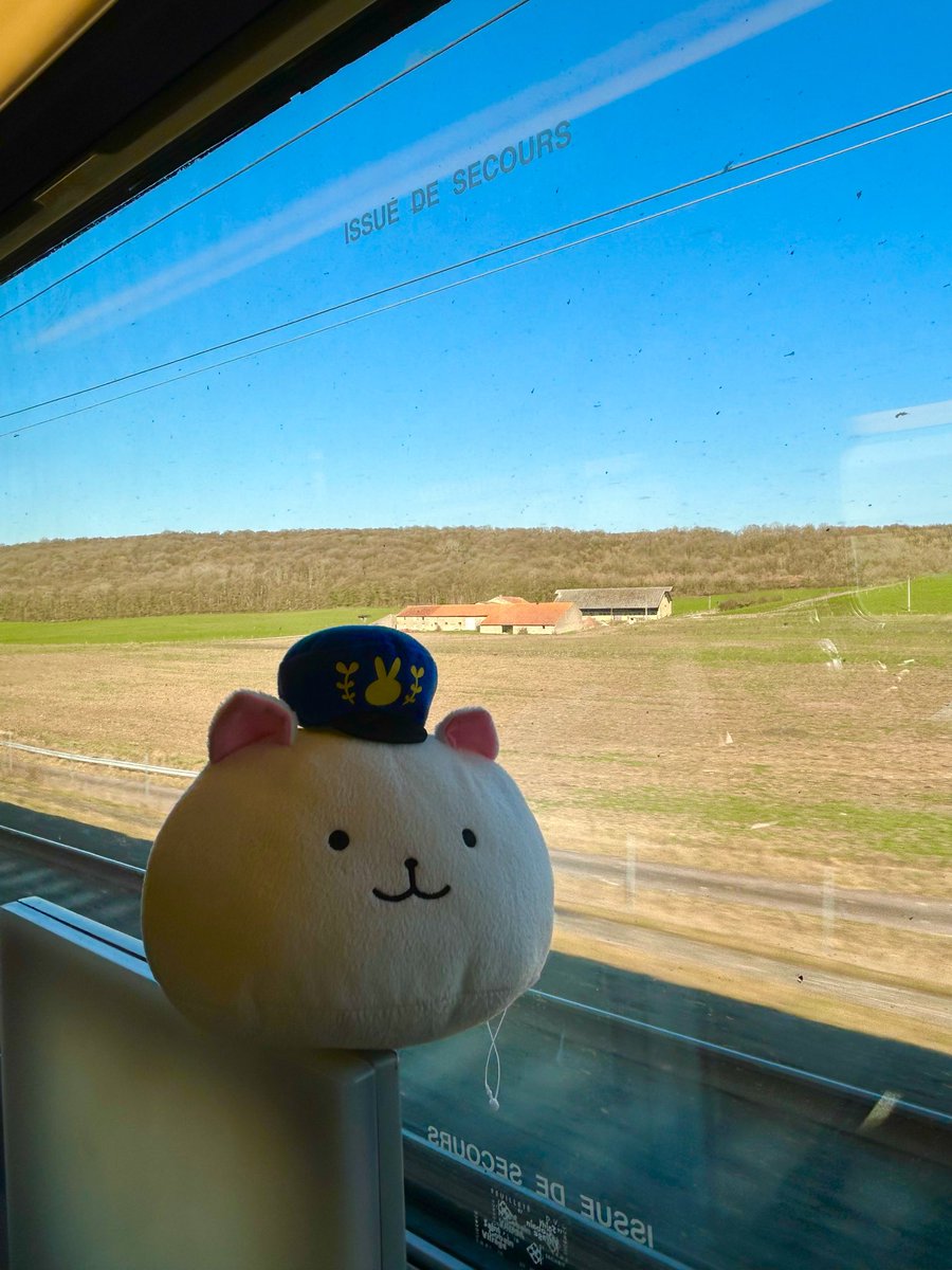 コルマールに別れを告げ、空港に向かっています。 車窓からはフランス