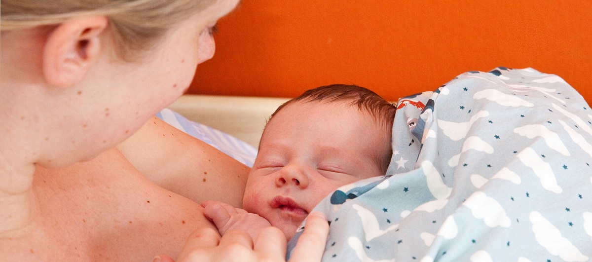 Dr Alexey Kulikov tweet media