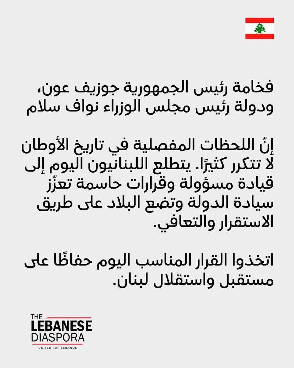 The Lebanese Diaspora Network tweet media