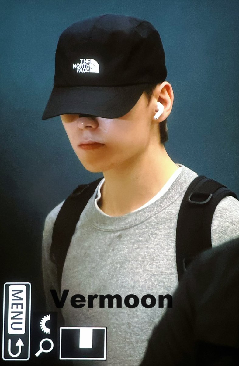 trip to vermoon tweet media